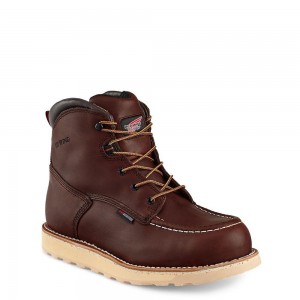 Boot Red Wing Traction Tred 6-inch Waterproof Soft Toe Masculino Marrom | 891702-BXW